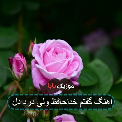 آهنگ گفتم خداحافظ ولی درد دل
