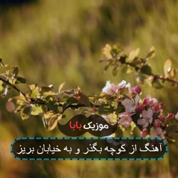 آهنگ از کوچه بگذر و به خیابان بریز
