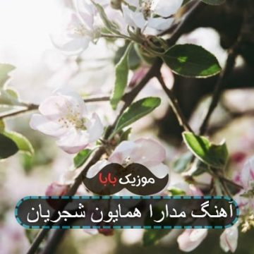 اهنگ مدارا همایون شجریان جیران اهنگ مدارا همایون شجریان جیران