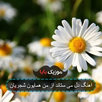 اهنگ دل می ستاند از من همایون شجریان