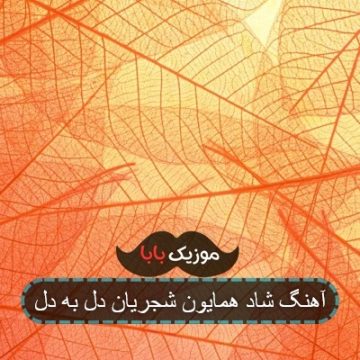 آهنگ شاد همایون شجریان دل به دل