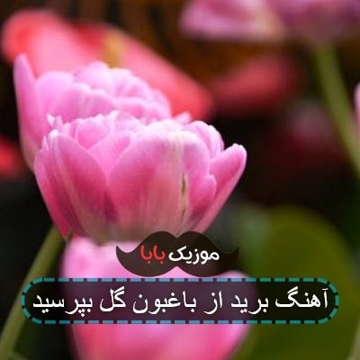 آهنگ ایرانی لب بر لب یار مزه داره آهنگ ایرانی لب بر لب یار مزه داره