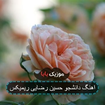 اهنگ دانشجو حسین رضایی ریمیکس