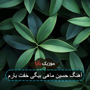 آهنگ حسین ماهی بیگی خفت بارم