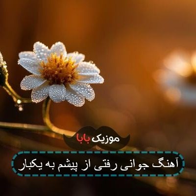 آهنگ جوانی رفتی از پیشم به یکبار