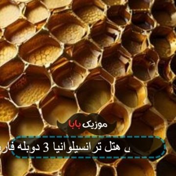 آهنگ هتل ترانسیلوانیا ۳ حمله اختاپوس