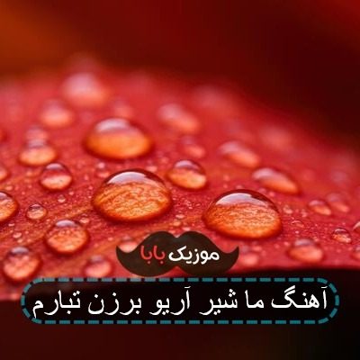 آهنگ ما شیر آریو برزن تبارم