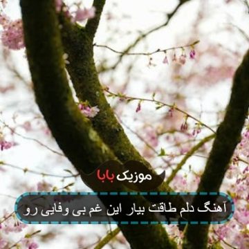 آهنگ دلم طاقت بیار این غم بی وفایی رو آهنگ دلم طاقت بیار این غم بی وفایی رو