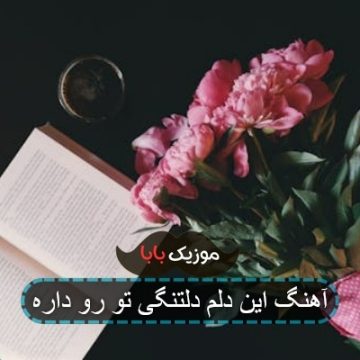 آهنگ این دلم دلتنگی تو رو داره