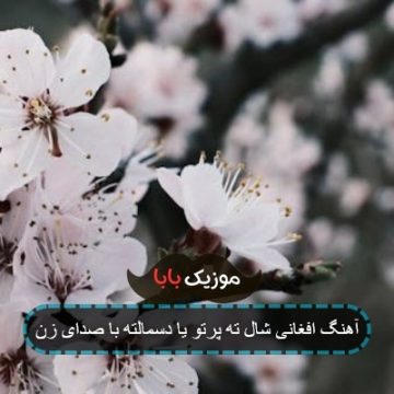 آهنگ افغانی شال ته پرتو یا دسمالته با صدای زن