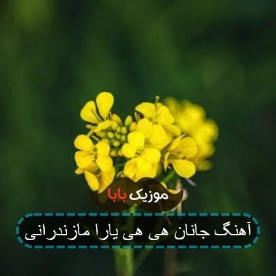 آهنگ جانان هی هی یارا مازندرانی