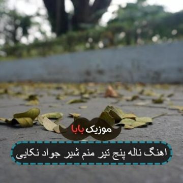 اهنگ ناله پنج تیر منم شیر جواد نکایی اهنگ ناله پنج تیر منم شیر جواد نکایی
