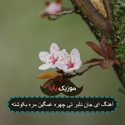 آهنگ دلبر تی چهره غمگین مره بکوشته با صدای مرد آهنگ دلبر تی چهره غمگین مره بکوشته با صدای مرد