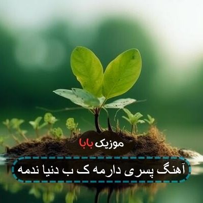 آهنگ پسری دارمه ک ب دنیا ندمه