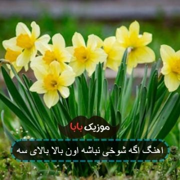 آهنگ جواد نکایی اگه شوخی نباشه اون بالا بالا آهنگ جواد نکایی اگه شوخی نباشه اون بالا بالا