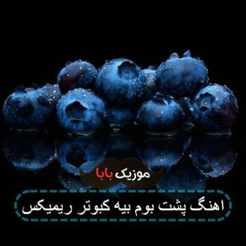 اهنگ پشت بوم بیه کبوتر ریمیکس اهنگ پشت بوم بیه کبوتر ریمیکس