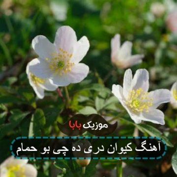 آهنگ کیوان دری ده چی بو حمام