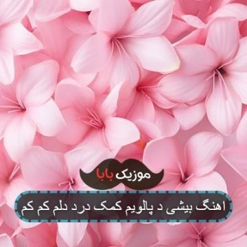 اهنگ بیشی د پالویم کمک درد دلم کم کم اهنگ بیشی د پالویم کمک درد دلم کم کم