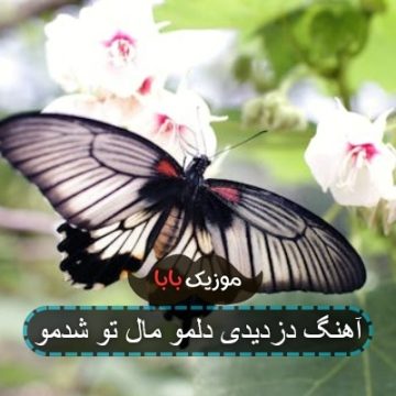 آهنگ دزدیدی دلمو مال تو شدمو آهنگ دزدیدی دلمو مال تو شدمو