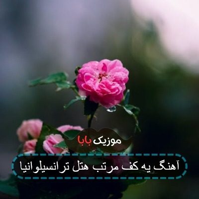 آهنگ یه کف مرتب هتل ترانسیلوانیا