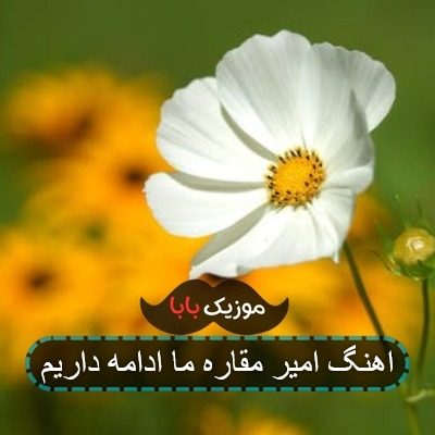 اهنگ امیر مقاره ما ادامه داریم