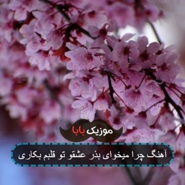 آهنگ چرا میخوای بذر عشقو تو قلبم بکاری