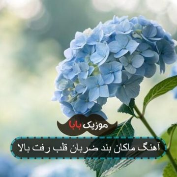 آهنگ ضربان قلب رفت بالا بگو چیه معنی این رفتارا