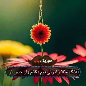 اهنگ زندونی بوم بکشم یار حبس تو