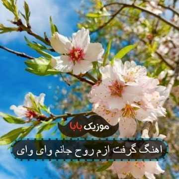 اهنگ گرفت ازم روح جانم وای وای