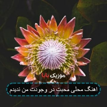 اهنگ محلی محبت در وجودت من ندیدم