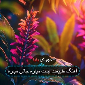 آهنگ بت گفتم دختر ترکم کنی من کلا مردم کامل آهنگ بت گفتم دختر ترکم کنی من کلا مردم کامل