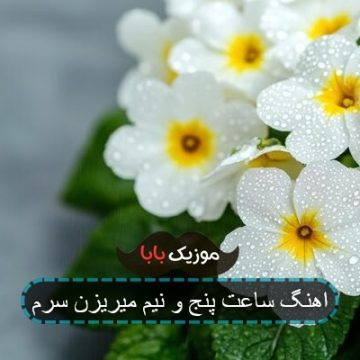 اهنگ ساعت پنج و نیم میریزن سرم اهنگ ساعت پنج و نیم میریزن سرم
