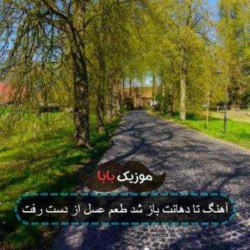 آهنگ تا دهانت باز شد طعم عسل از دست رفت