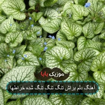 آهنگ دلم براش تنگ تنگ تنگ شده خراطها آهنگ دلم براش تنگ تنگ تنگ شده خراطها