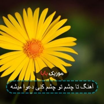 آهنگ خیلی وقته میخوام هرجا تورو من با خودم ببرم