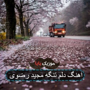 آهنگ دلم تنگه مجید رضوی