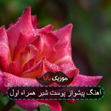 آهنگ پیشواز پوست شیر همراه اول