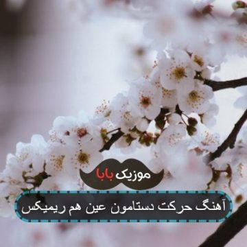 آهنگ شهر شده پر از گل*** ریمیکس