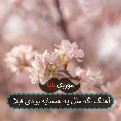 آهنگ اگه مثل یه همسایه بودی قبلا