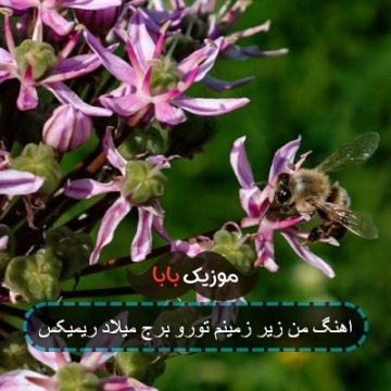 اهنگ من زیر زمینم تورو برج میلاد ریمیکس