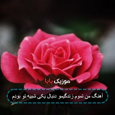 آهنگ من تموم زندگیمو دنبال یکی شبیه تو بودم