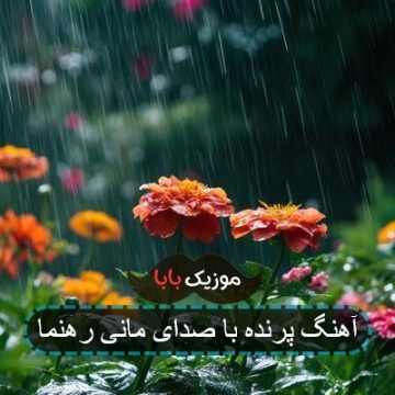 آهنگ پرنده با صدای مانی رهنما