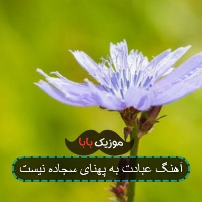 آهنگ عبادت به پهنای سجاده نیست