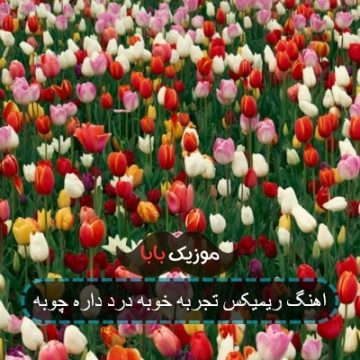 اهنگ ریمیکس تجربه خوبه درد داره چوبه اهنگ ریمیکس تجربه خوبه درد داره چوبه