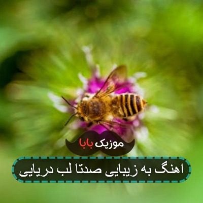 اهنگ اره دلبند تو لیلای تو رفت