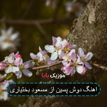 اهنگ دوش پسین از مسعود بختیاری
