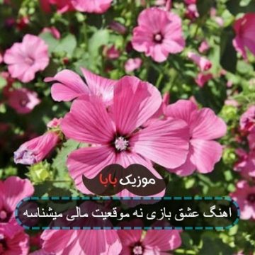 اهنگ عشق بازی نه موقعیت مالی میشناسه