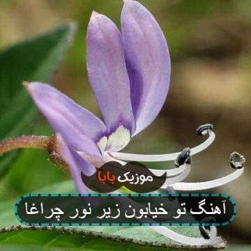 آهنگ مهدی احمدوند چراغ اتاق تو روشن بود آهنگ مهدی احمدوند چراغ اتاق تو روشن بود