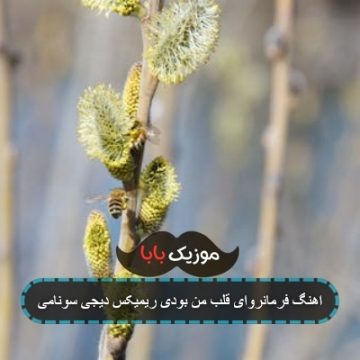 اهنگ فرمانروای قلب من بودی ریمیکس دیجی سونامی اهنگ فرمانروای قلب من بودی ریمیکس دیجی سونامی