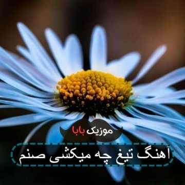 آهنگ تیغ چه میکشی صنم